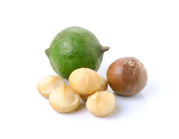 noix de macadamia sur fond blanc