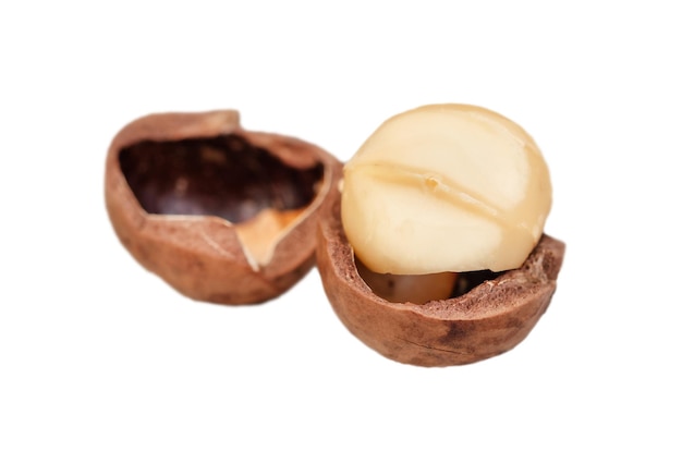 Noix de macadamia split isolé sur fond blanc