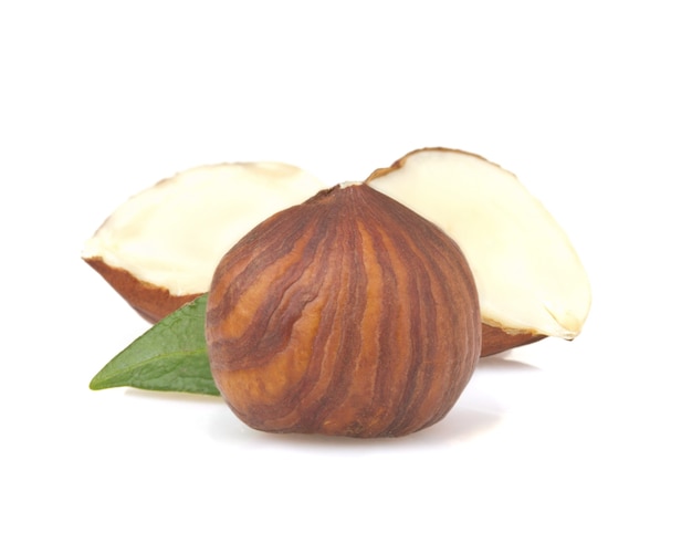 Noix de noisette isolé sur blanc