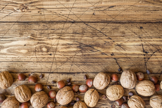 Photo noix, noisettes et cèdre sur une table en bois sombre