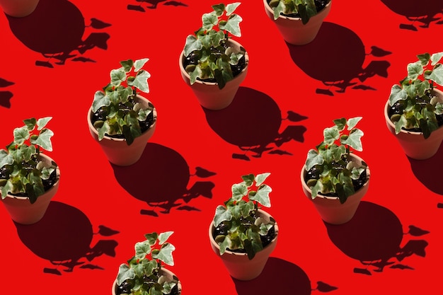 De nombreuses plantes en pots sur fond rouge Concept de jardinage à la maison