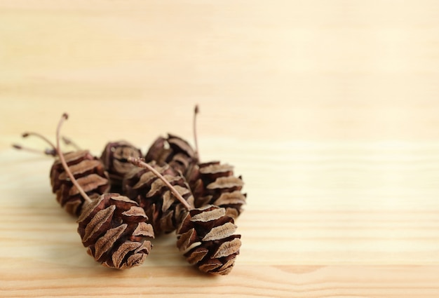 Nombreuses pommes de pin minces sèches et naturelles sur une table en bois brun clair avec un espace libre pour la conception