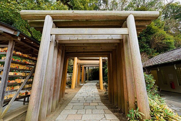 De nombreuses portes torii Zeniarai Benzaiten