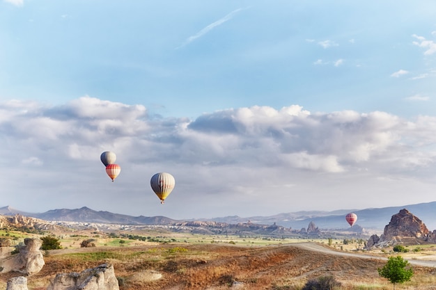 De nombreux ballons colorés décollent dans le ciel