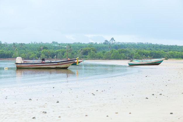 De nombreux bateaux de pêche