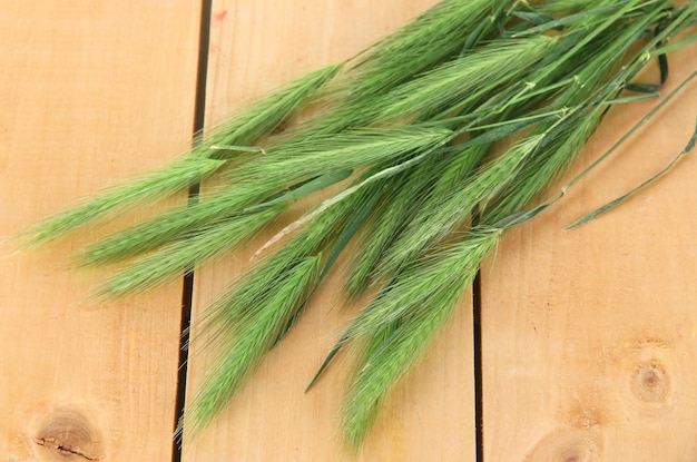 De nombreux épillets sur fond de bois