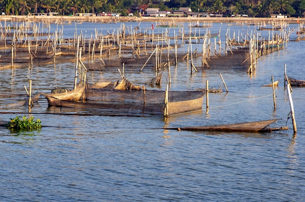 De nombreux étangs à poissons dans le lac Rowo Jombor Klaten Indonésie