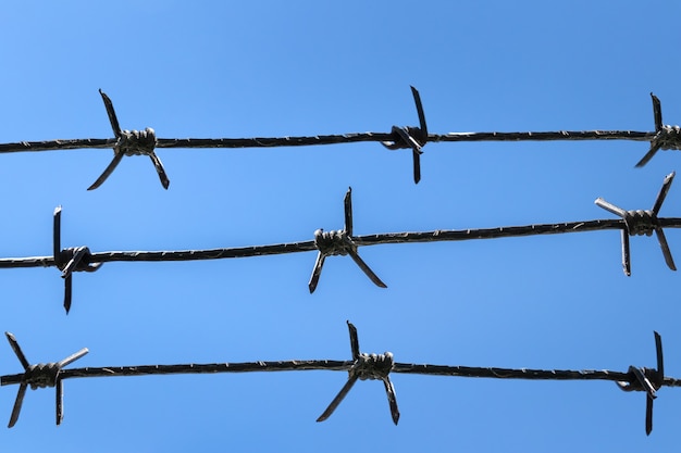 De nombreux fils barbelés sur fond de ciel bleu. concept d'emprisonnement et de prison