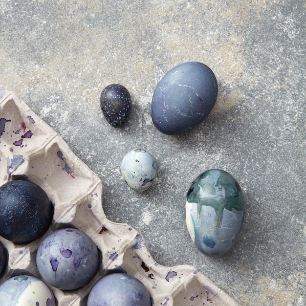 De nombreux œufs de couleur bleu marine représentés en boîte sur fond gris. Belle composition d'oeufs ennemi faisant une carte postale à Pâques.