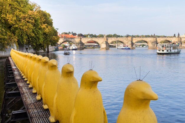 De nombreux pingouins jaunes souvenirs sur le front de mer