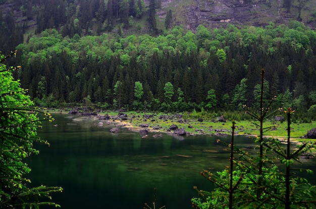 De nombreux rochers au bord du lac