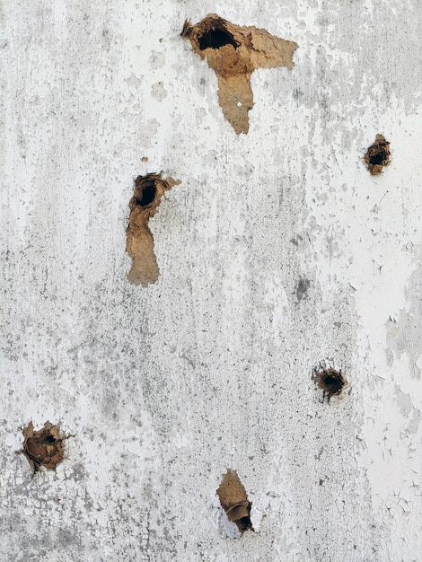 De nombreux trous traversants de balles dans un mur peint en contreplaqué de bois dans tout le cadre
