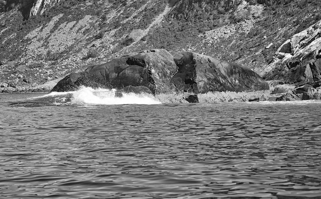 Norvège sur le fjord embruns sur les rochers Éclaboussures d'eau sur les pierres Paysage côtier