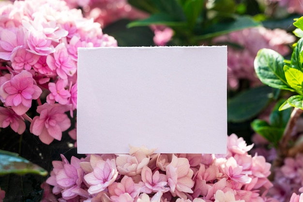 Note de papier vierge avec espace de copie sur de belles fleurs d'hortensia rose Maquette féminine