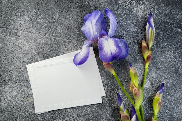 Note vide et iris violet sur gris