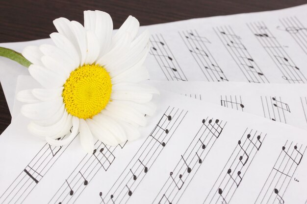 Notes musicales et fleur sur table en bois