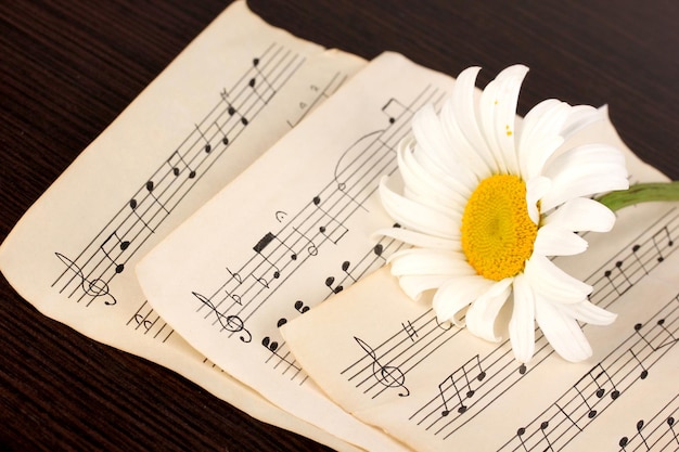 Notes musicales et fleur sur table en bois