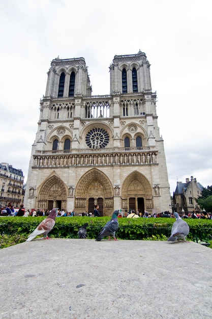 Photo notre dame cathedral in paris, france