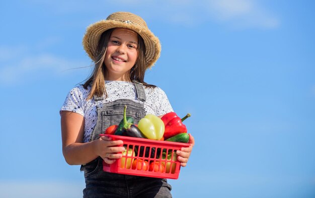 Notre nourriture. récolter de la vitamine. jardin maraîcher de printemps. légume de petite fille dans le panier. Uniquement naturel. nourriture saine pour les enfants. enfant à la ferme d'été. Alimentation biologique. heureux petit fermier. récolte d'automne.