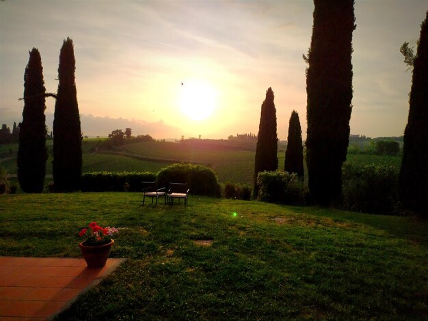 Photo notte toscane est située dans la région de toscane.