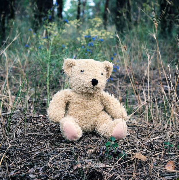 Nounours brun abandonné assis au milieu de la forêt