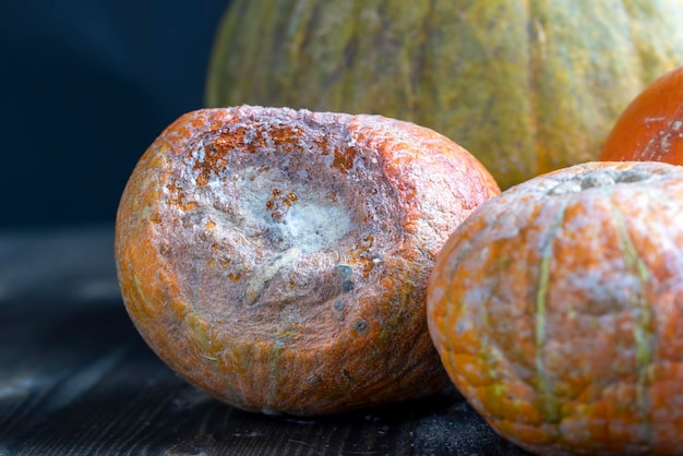 Nourriture de citrouille gâtée qui n'a pas été utilisée et qui est une poubelle