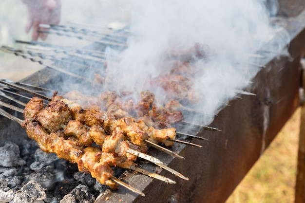 Nourriture délicieuse de brochettes d'agneau rôties du xinjiang barbecue en plein air