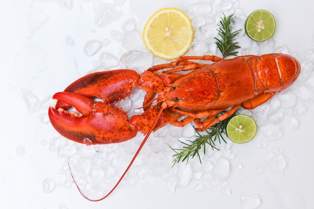 Nourriture fraîche de homard sur le fond de plaque blanche, fruits de mer de dîner de homard rouge avec des épices