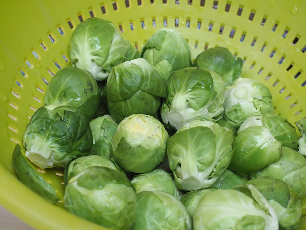 Nourriture de légumes de chou de bruxelles