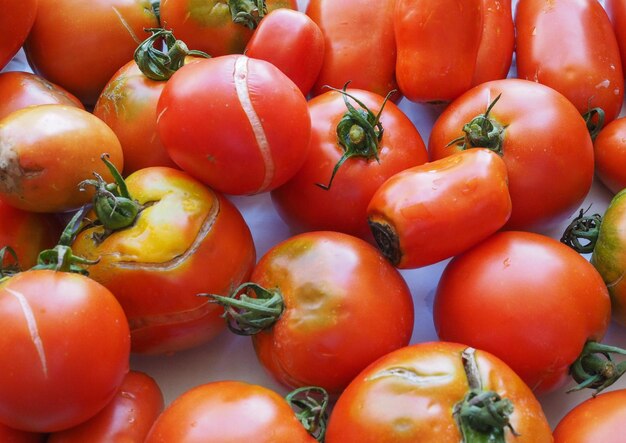 Nourriture de légumes de tomate