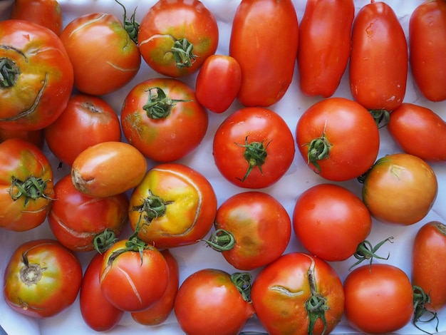 Nourriture de légumes de tomate