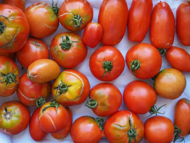 Photo nourriture de légumes de tomate