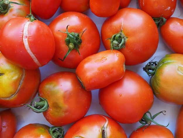 Nourriture de légumes de tomate