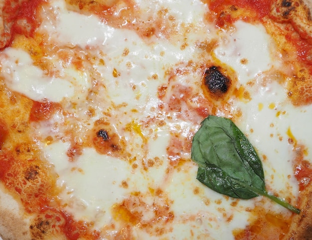 Nourriture de pizza Margherita