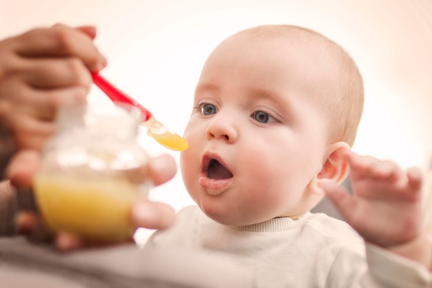 Nourriture pour bébés