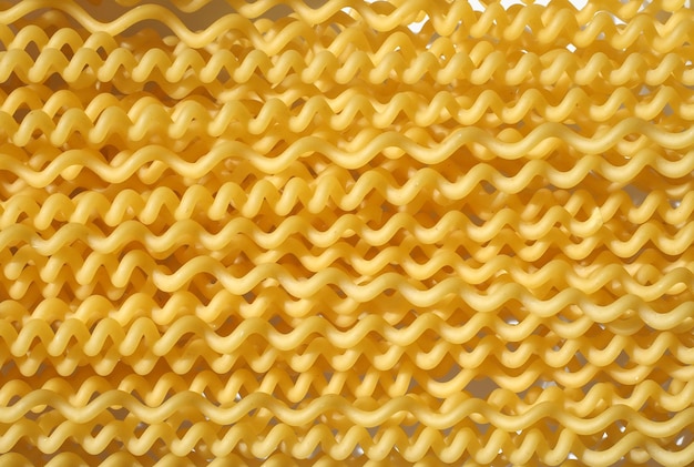 Nourriture pour pâtes fusilli longues