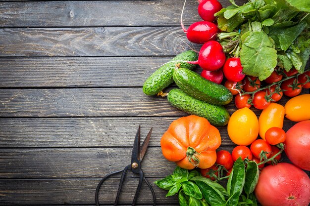 Nourriture, récolte, concept d'été. Assortiment de tomates rouges mûres bio fermier, concombres, radis et basilic sur une table en bois