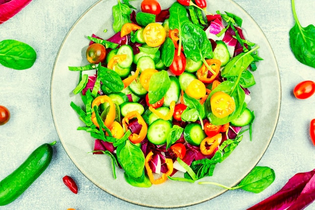 Nourriture végétarienne de salade de légumes lumineux