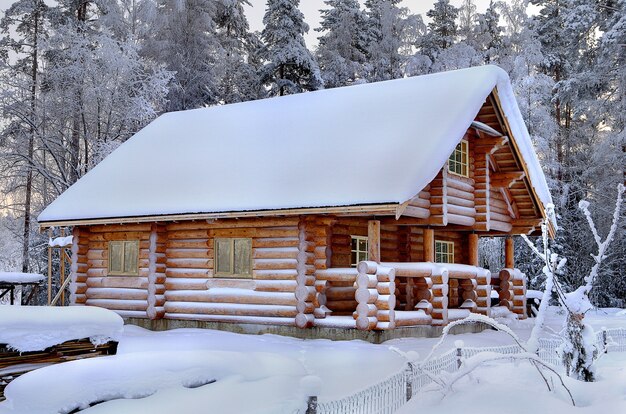 Nouveau bain russe en bois aux beaux jours d'hiver, vue de l'extérieur, sur fond de forêt enneigée.