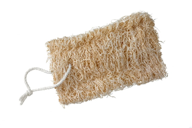 Nouveau Luffa éponge naturel