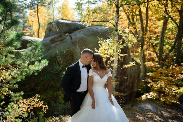 Les nouveaux mariés se serrent dans la forêt d'automne
