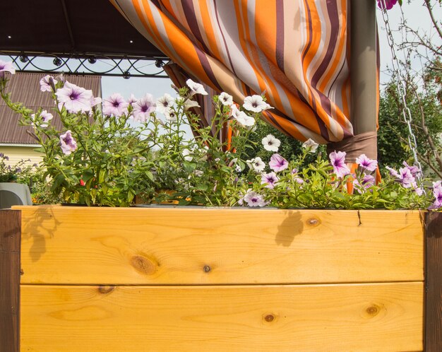 Une nouvelle boîte en bois de jardinières avec des fleurs de pétunia de jardin sur le fond d'une véranda de jardin ouverte avec un auvent orange.