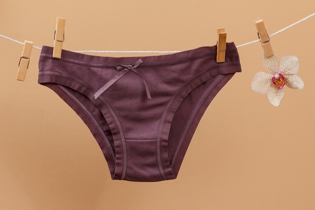 Nouvelle culotte en coton marron sur corde à linge avec pinces à linge et fleur d'orchidée sur fond beige. Sous-vêtements femme.