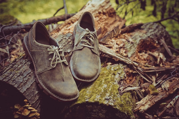 Nouvelles chaussures marron élégantes.