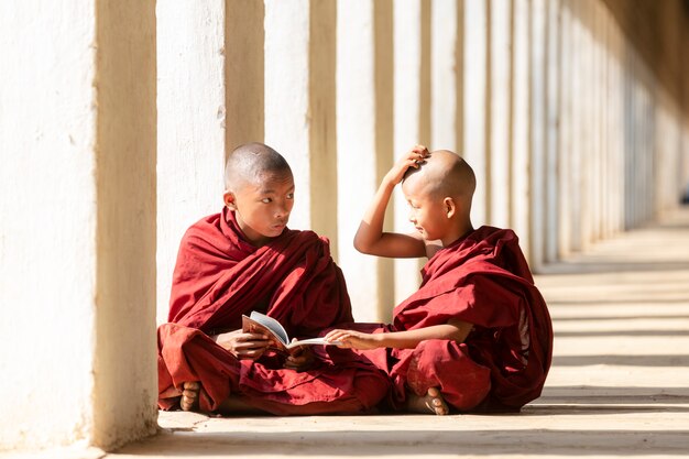 Les novices du bouddhisme lisent et étudient