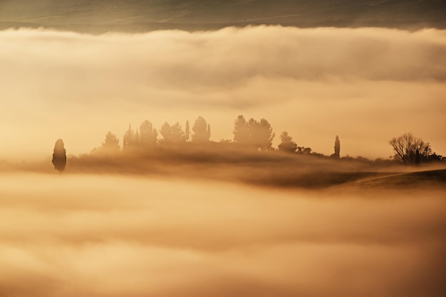 Noyé dans le brouillard