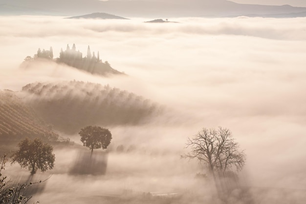 Noyé dans le brouillard