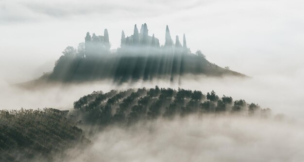 Noyé dans le brouillard