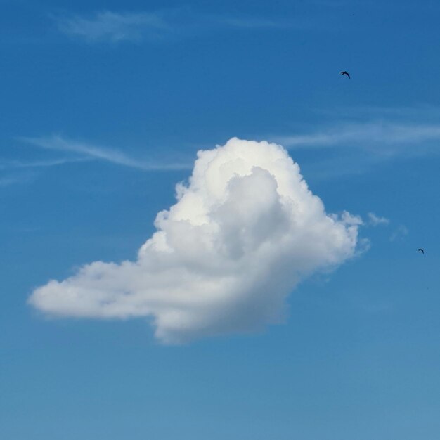 Un nuage blanc dans le ciel