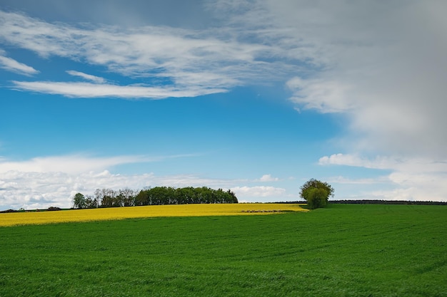 Nuage blanc sur fond de ciel bleu avec soleil